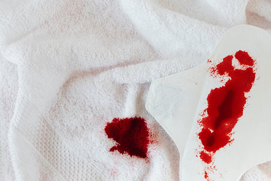 Doenças Reprodutivas em Bovinos